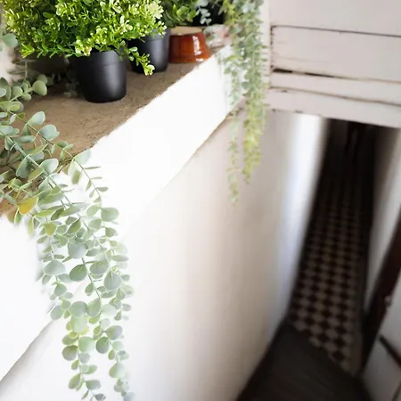 Le Vannerie - Coeur Historique - Equipe *